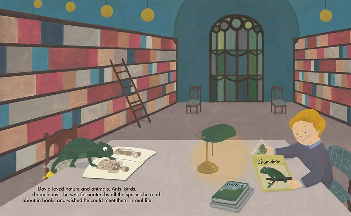 David Attenborough: Little People, Big Dreams Children&