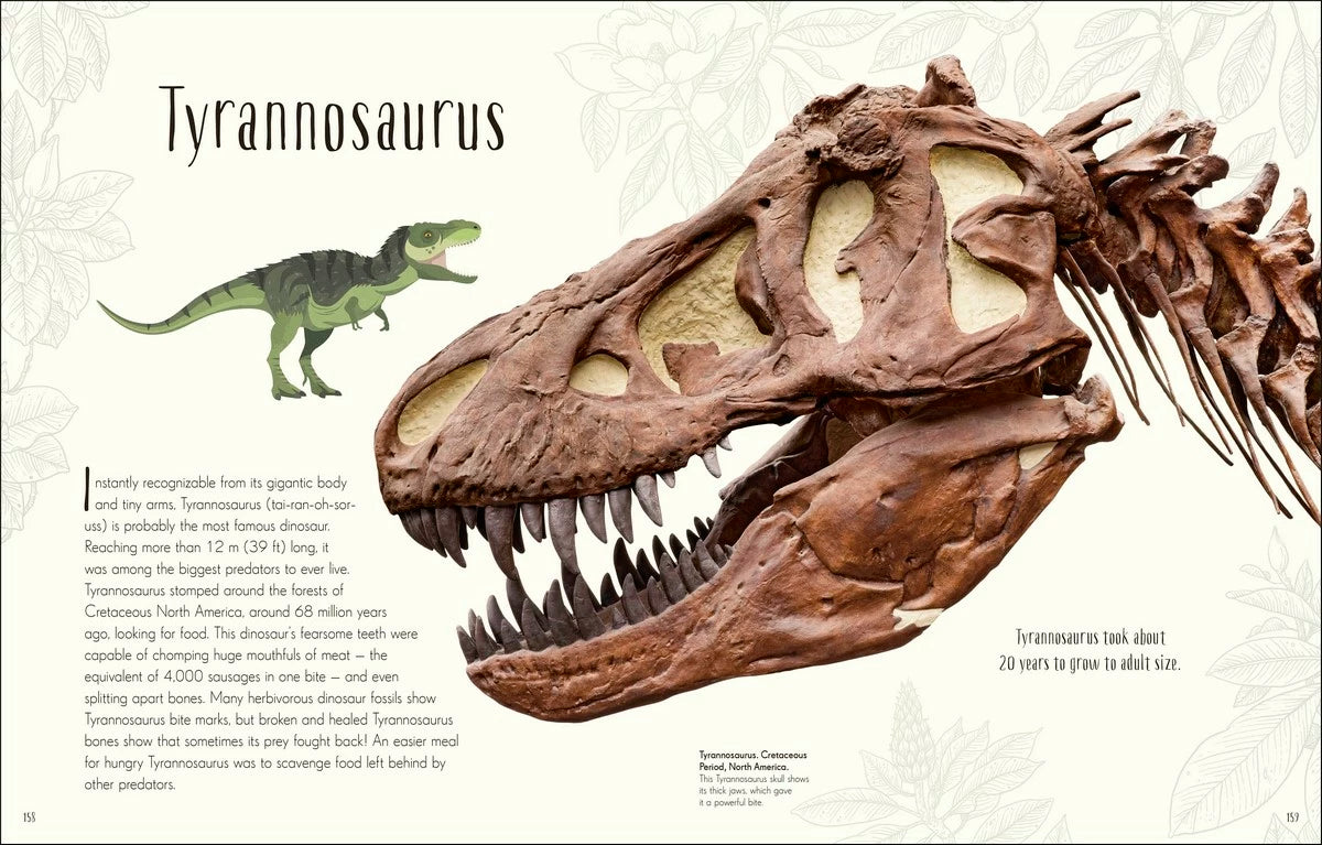 Dinosaurs and other Prehistoric Life Children&