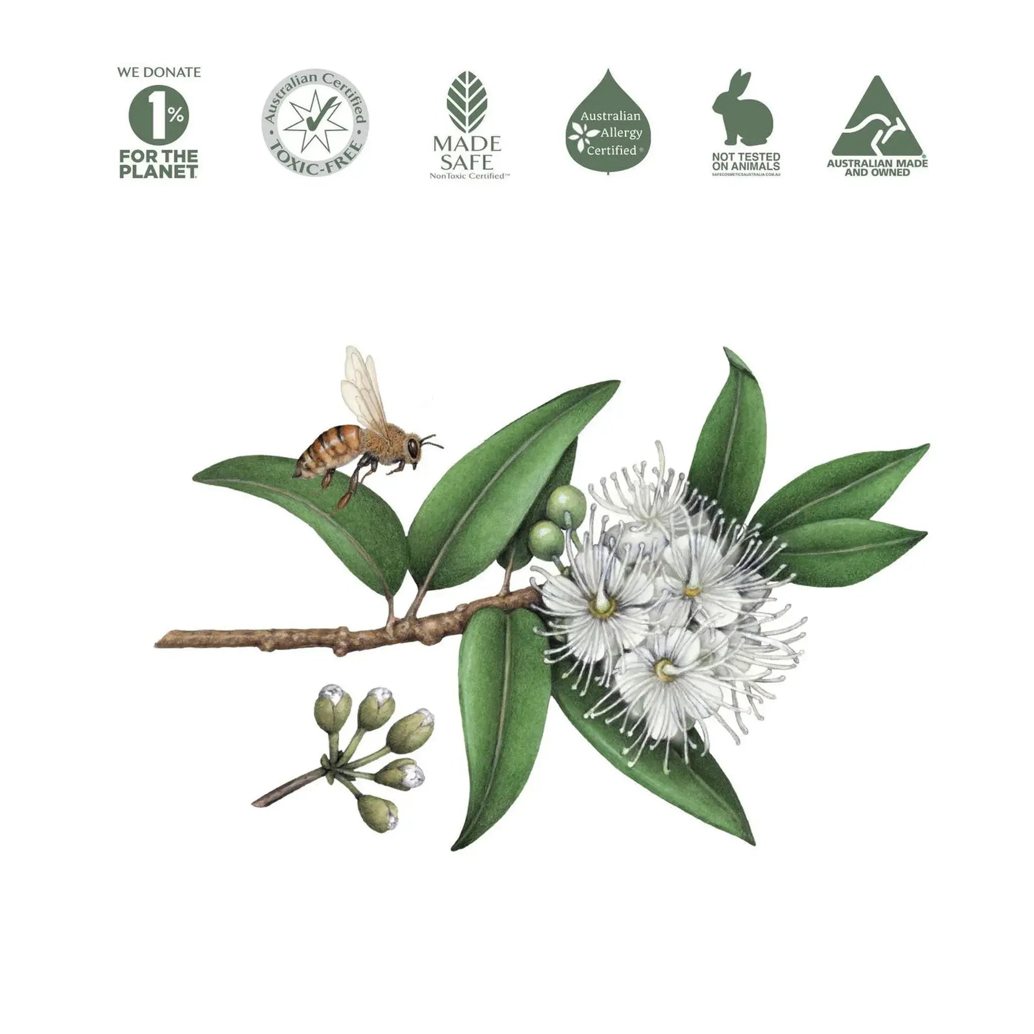 Natural Dish Soap by Koala Eco - Lemon Myrtle & Mandarin (500ml)