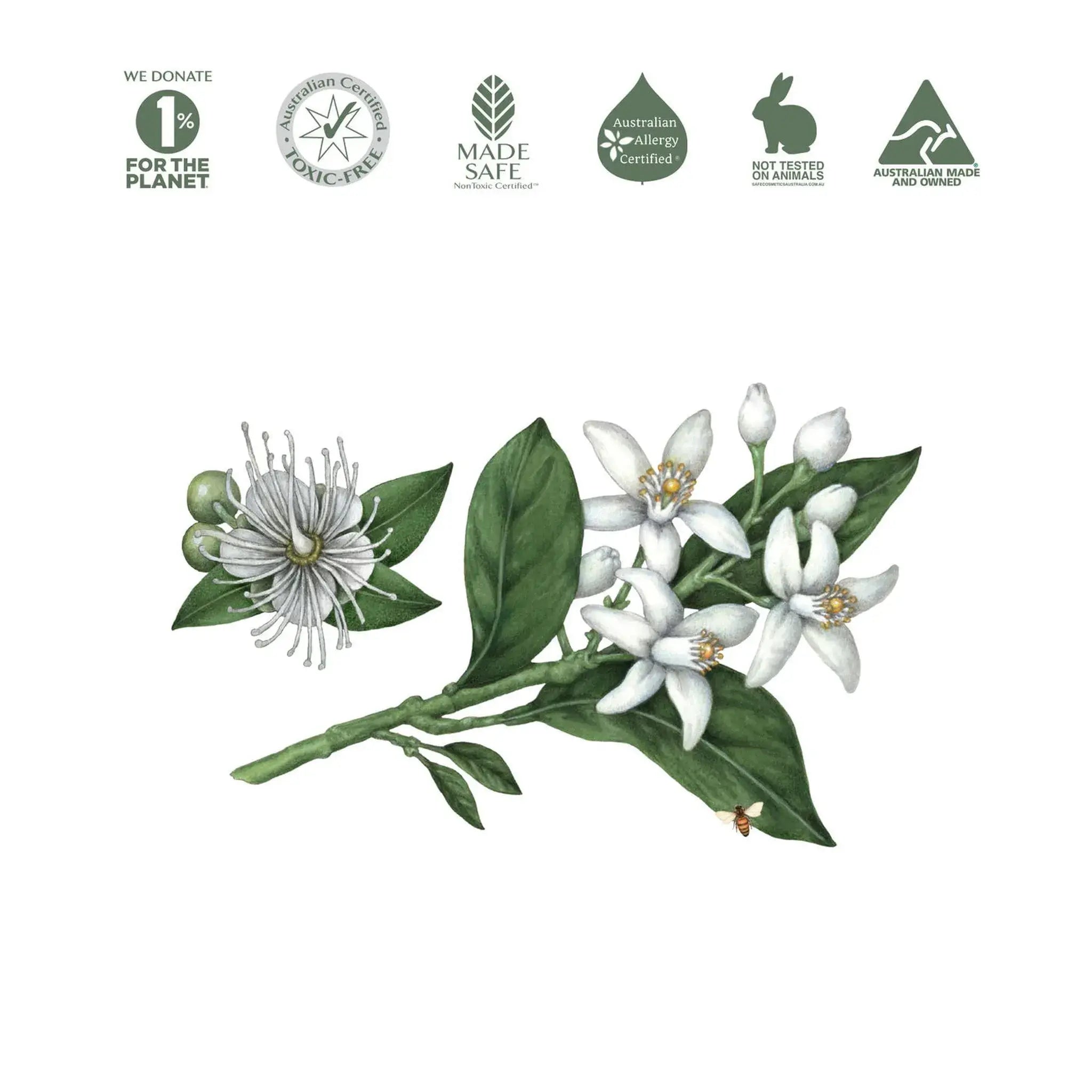 Natural Multi-Purpose Kitchen Cleaner by Koala Eco - Lemon Myrtle & Mandarin (500ml)