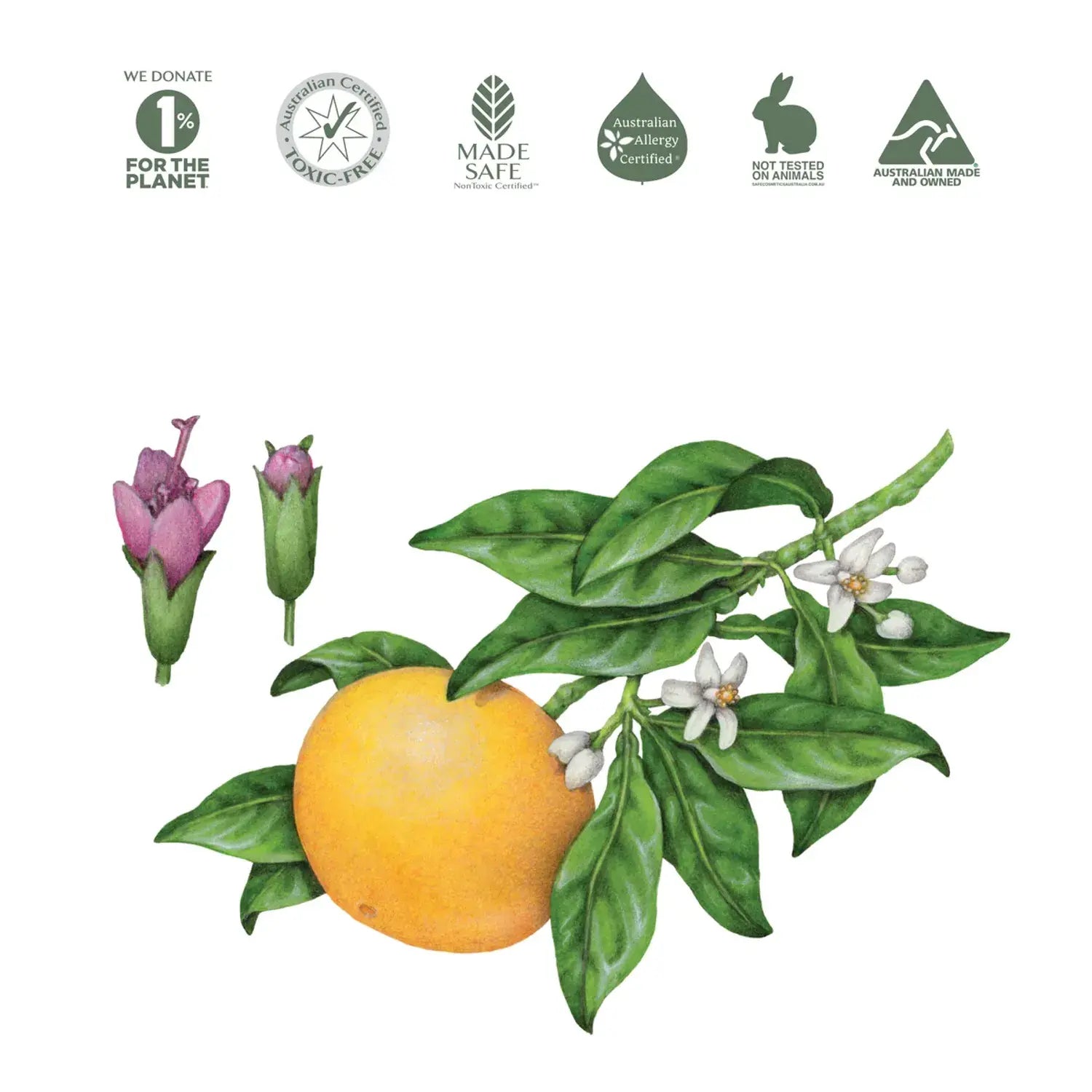 Natural Room Spray by Koala Eco - Pink Grapefruit and Peppermint (250ml)