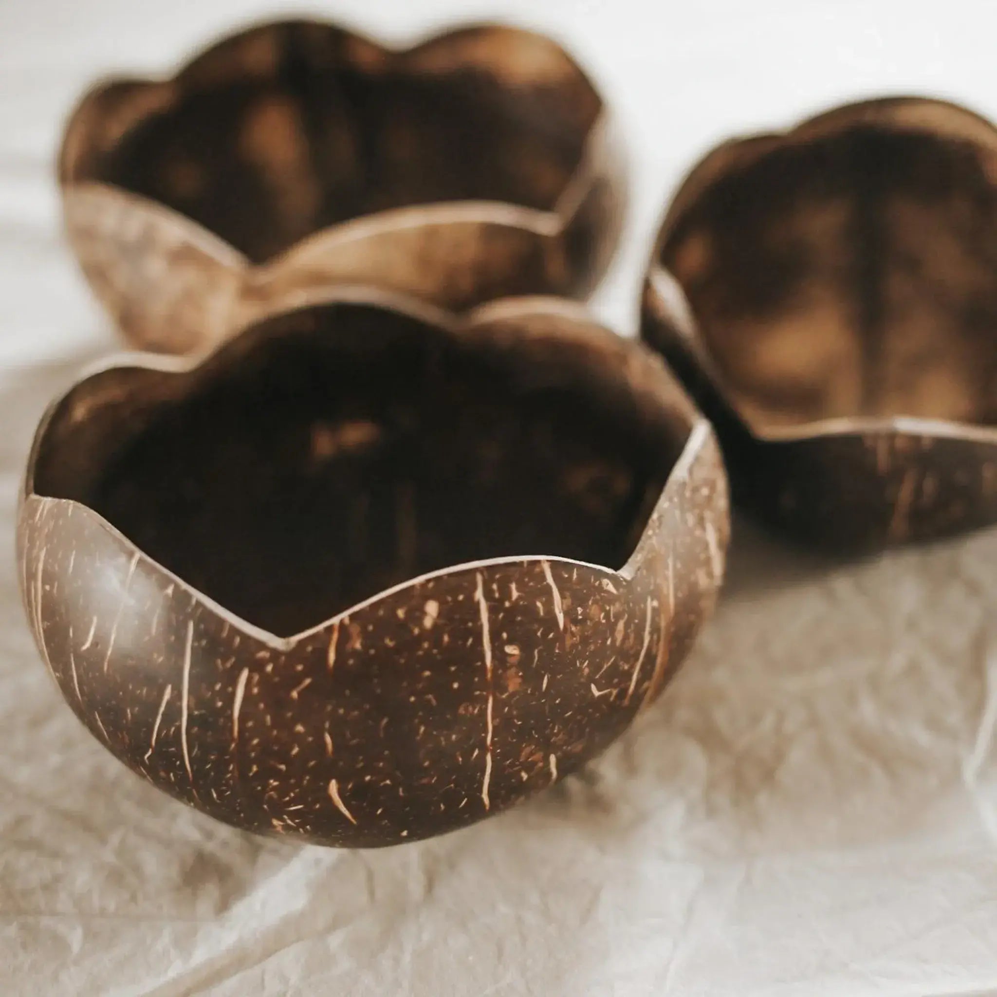 qtoys set of 3 coconut bowls for sorting and sensory play