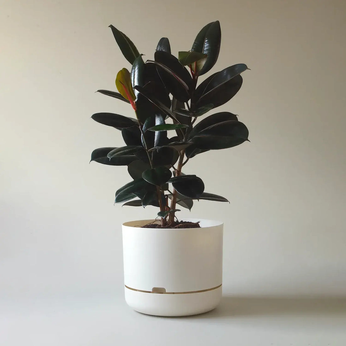 Mr Kitly Selfwatering Plant Pot - White Linen (375mm) 🪴