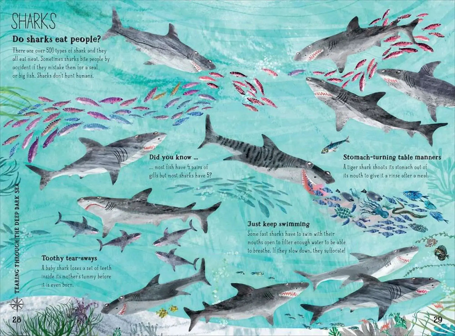 The Big Book of the Blue - Children&