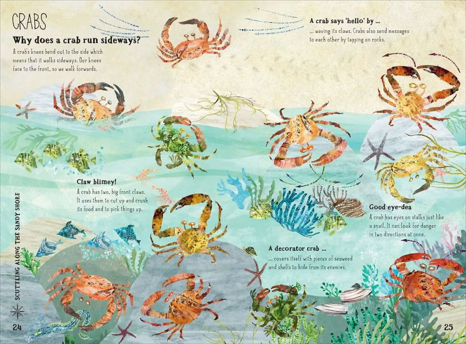 The Big Book of the Blue - Children&