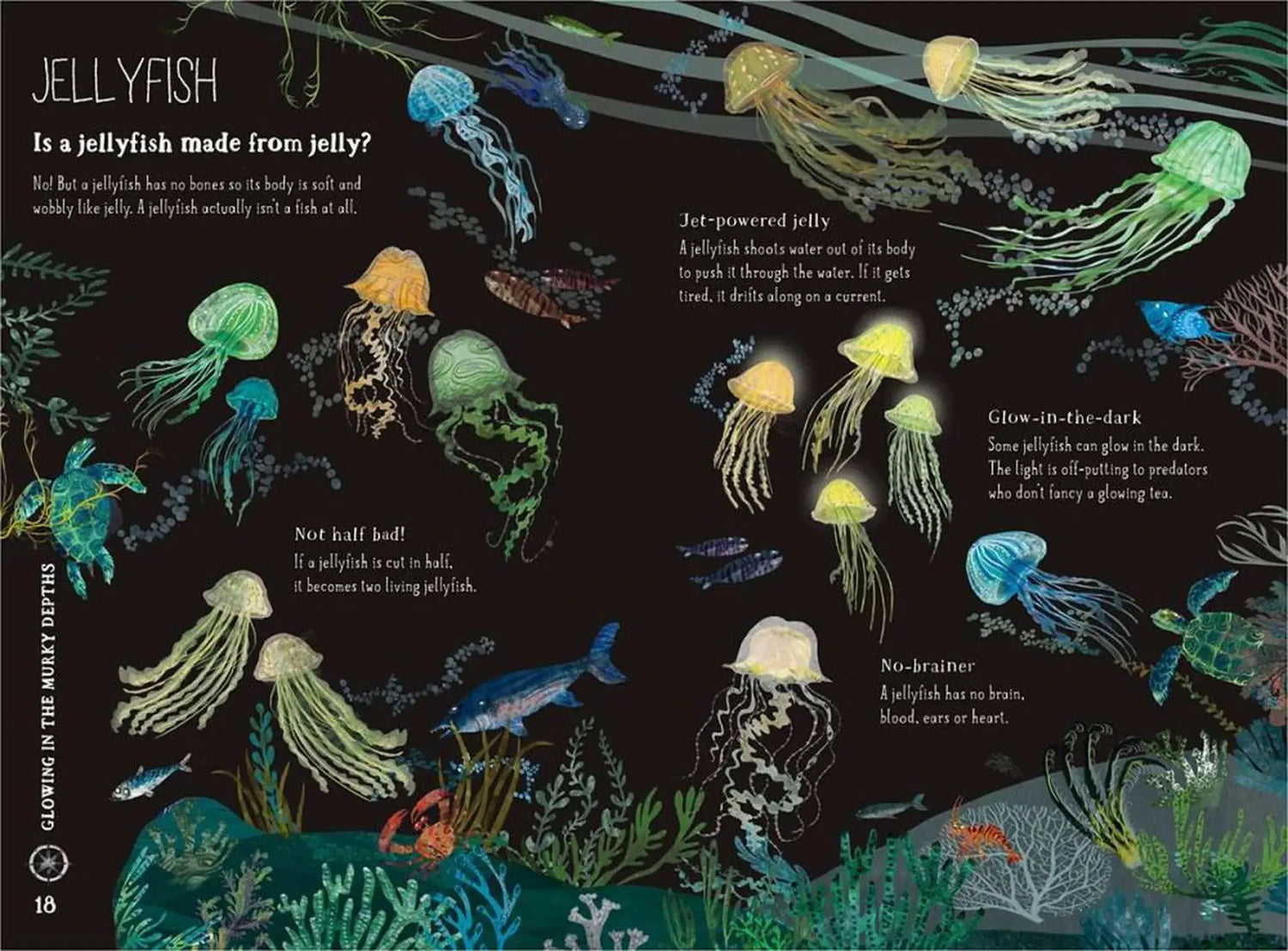 The Big Book of the Blue - Children&