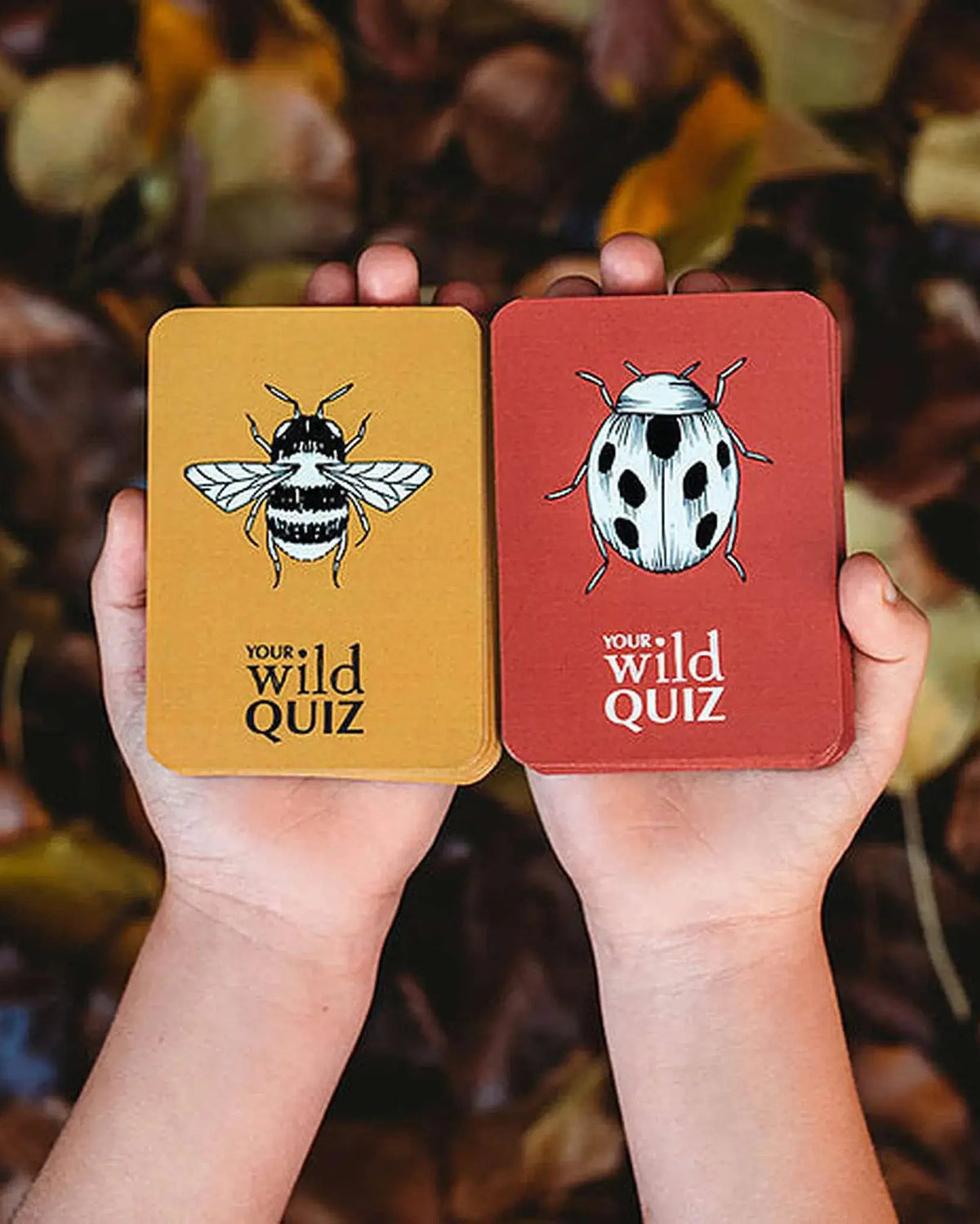 Your Wild Quiz Card Game