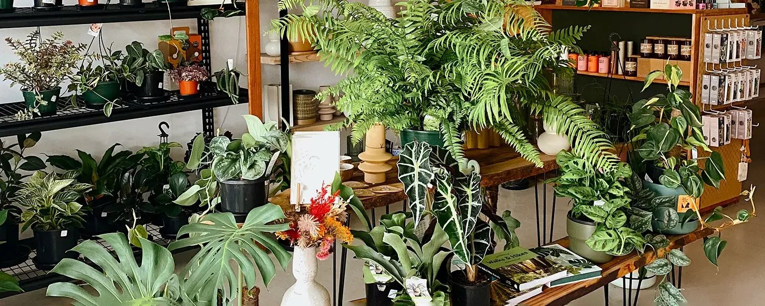 Polly &amp; Co - Gift Shop &amp; Florist - Muswellbrook Hunter Valley, NSW