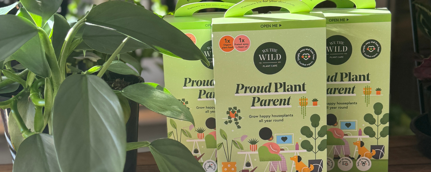 Muswellbrook Florist - Pots, planters & plant care for your favourite indoor plants - Polly & Co