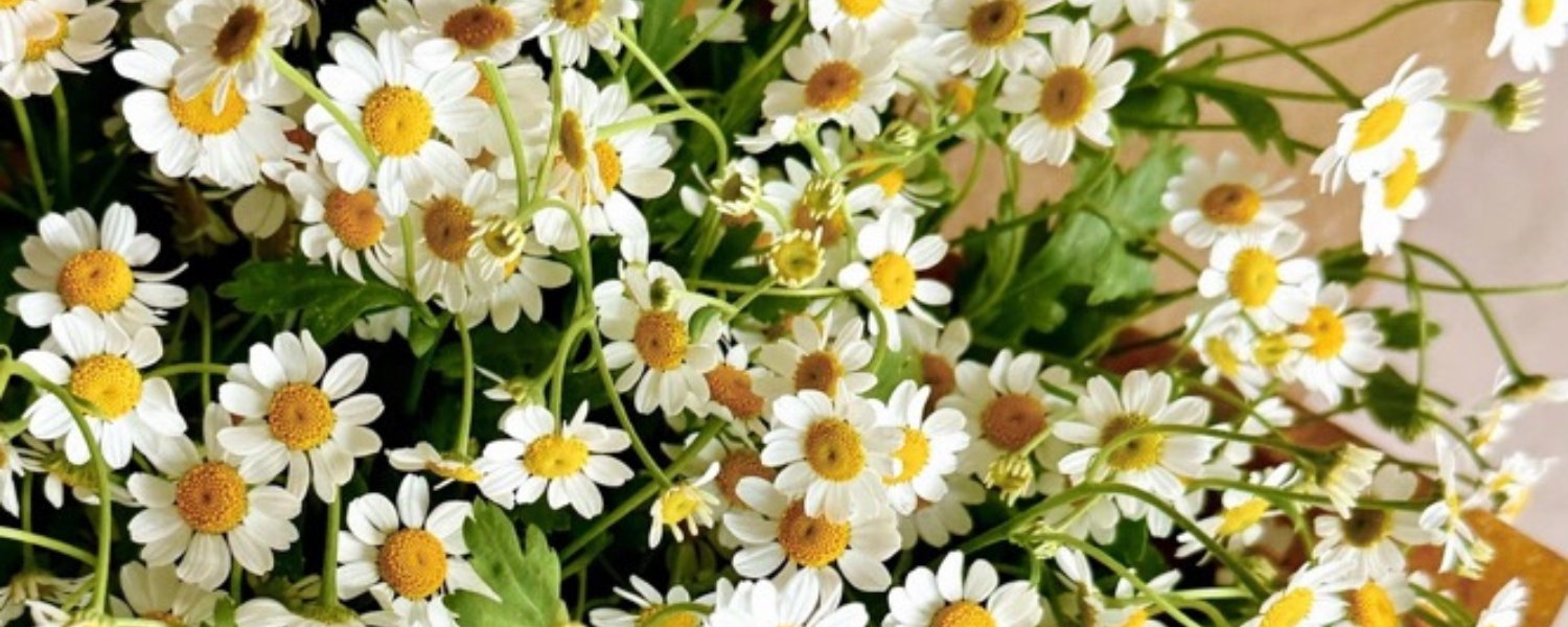 THE FLORA BAR by Polly & Co l Muswellbrook Florist