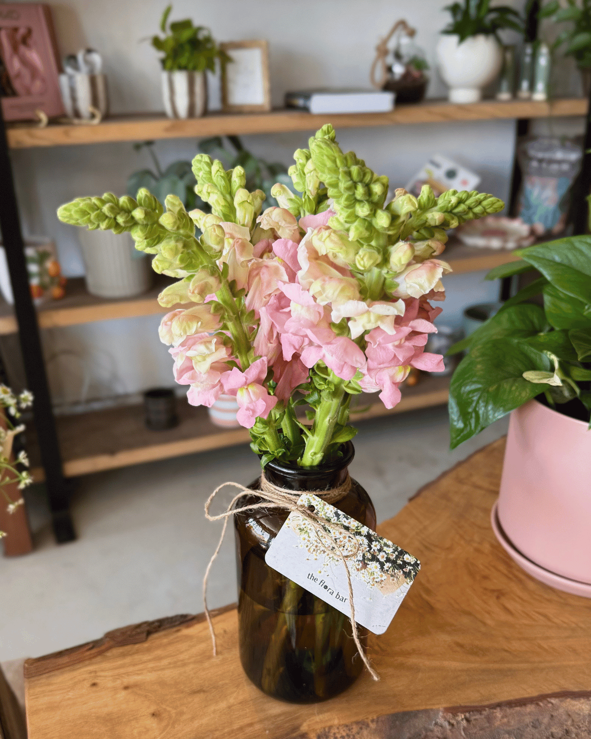 The Flora Bar Jars / Snapdragon