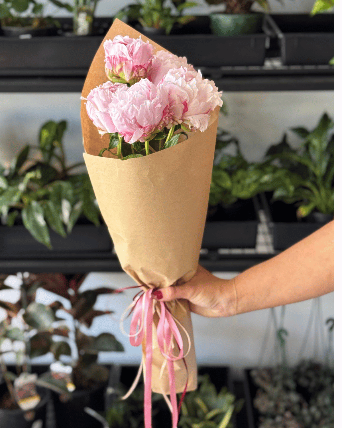 The Flora Bar Market Bunch - Peony
