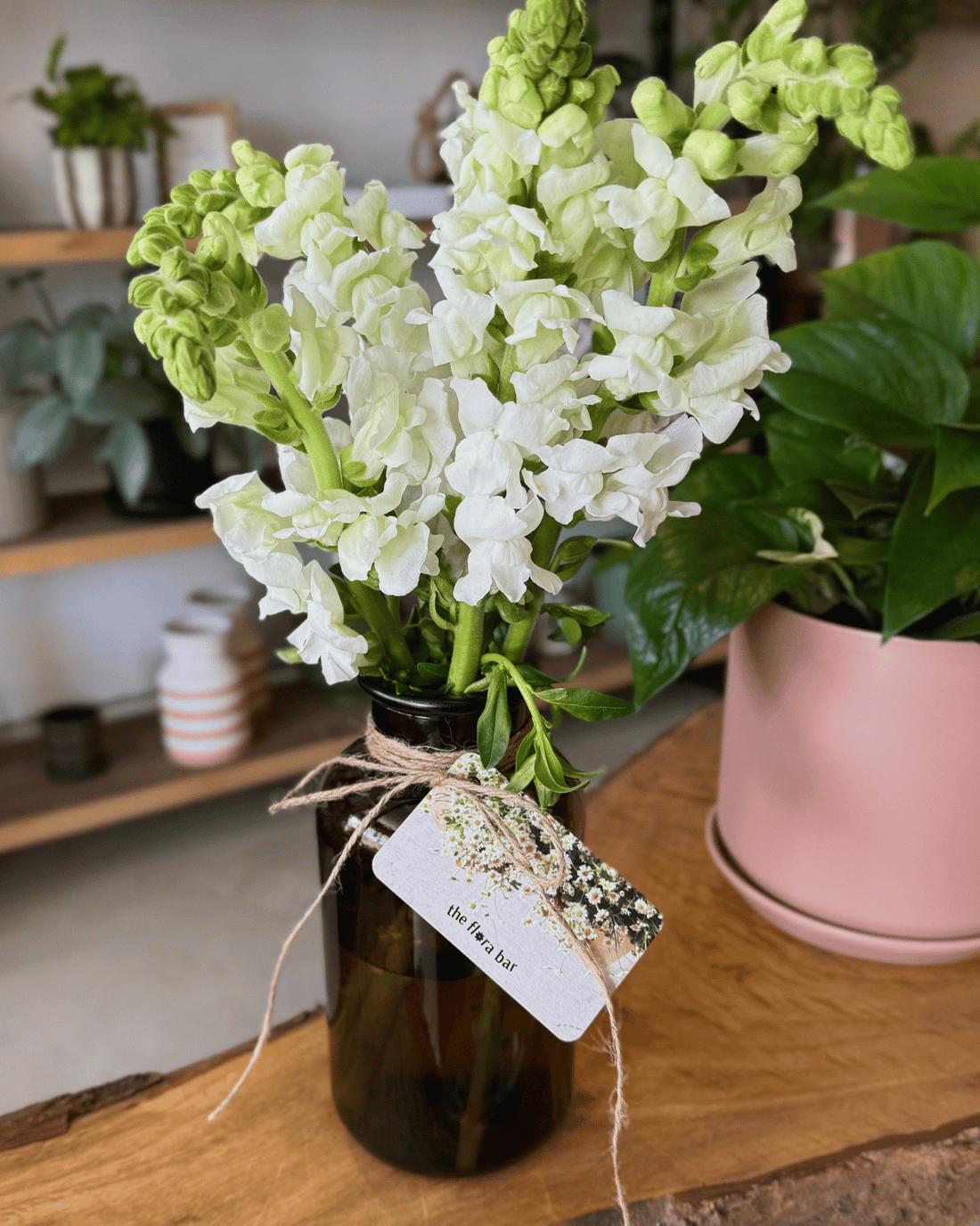 The Flora Bar Jars / Snapdragon