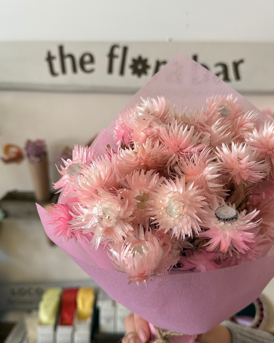 Dried Paper Daisy Bunch
