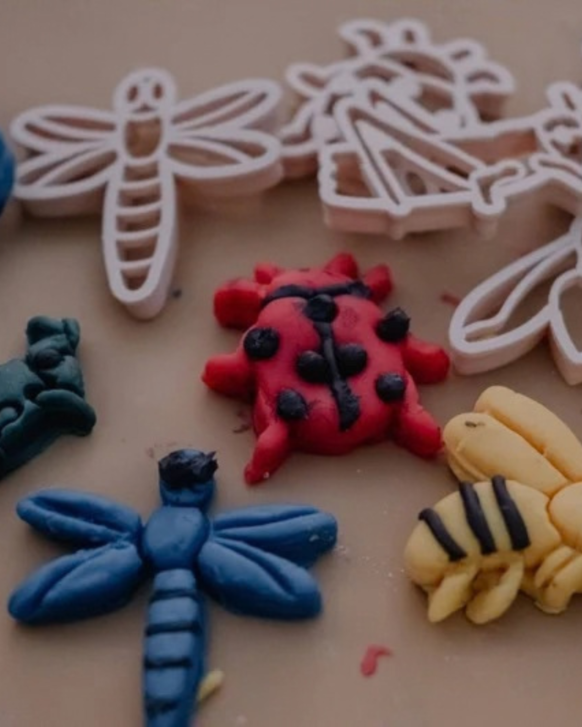 Insect Cutter Set - Eco Playdough Tool