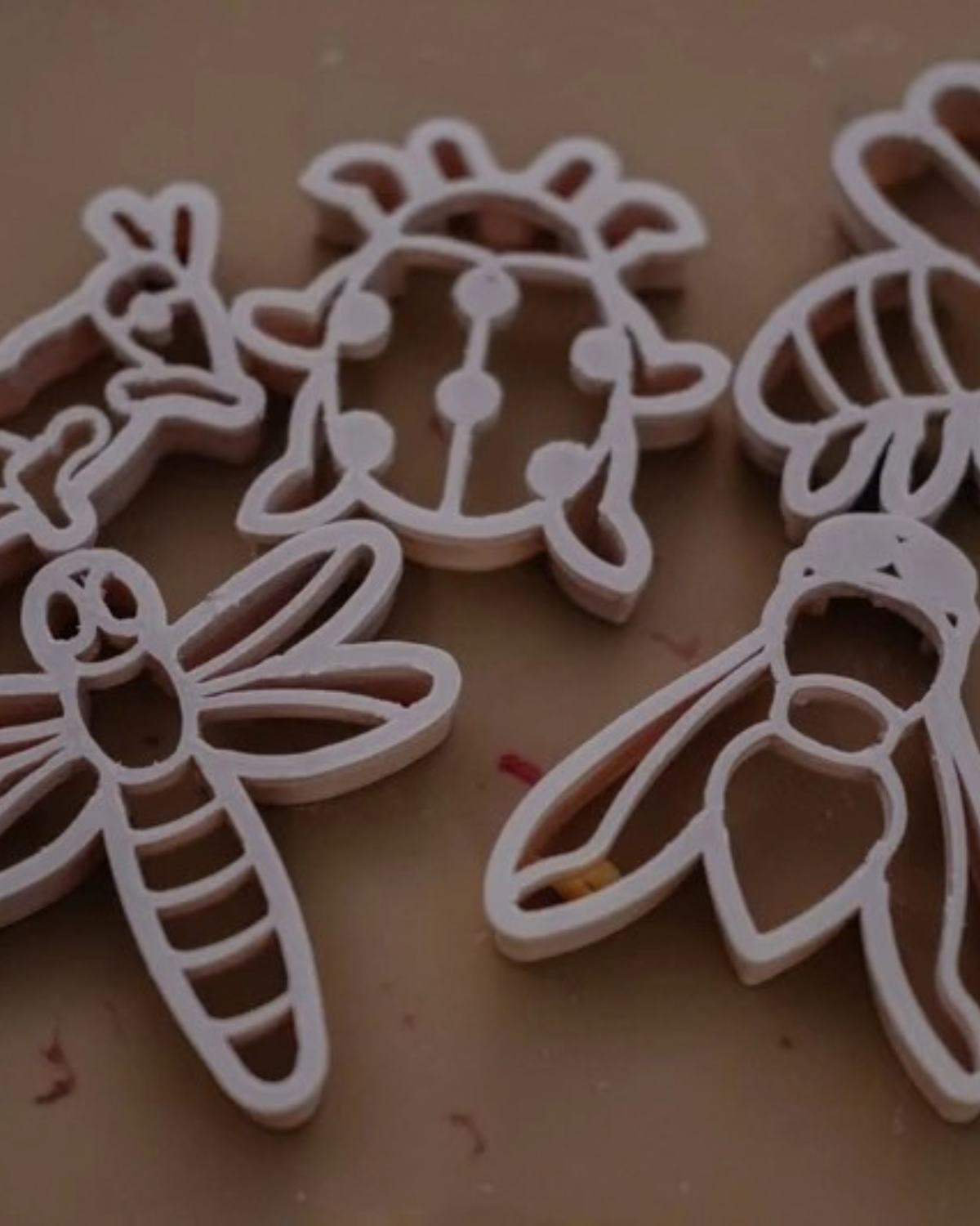 Insect Cutter Set - Eco Playdough Tool