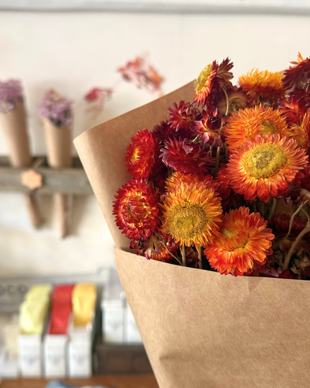 Dried Everlasting Paper Daisy Bunch