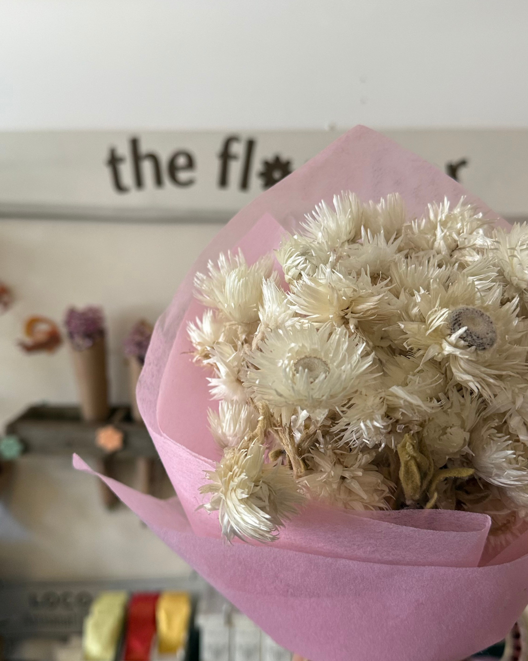 Dried Paper Daisy Bunch