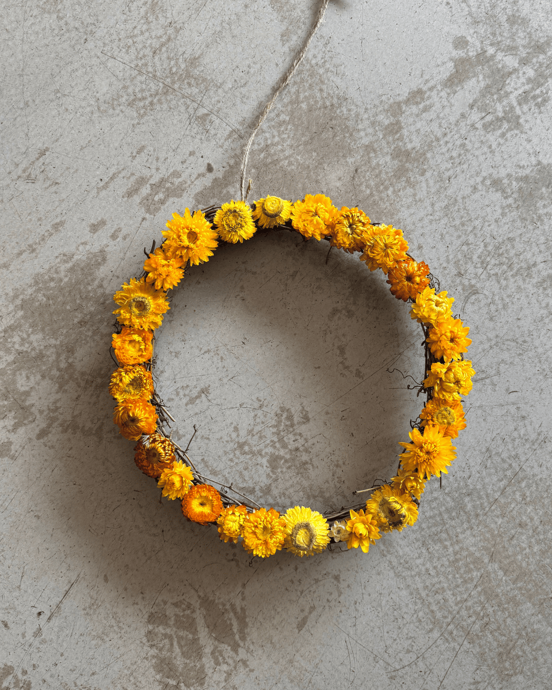 Everlasting Paper Daisy Wreath - Large