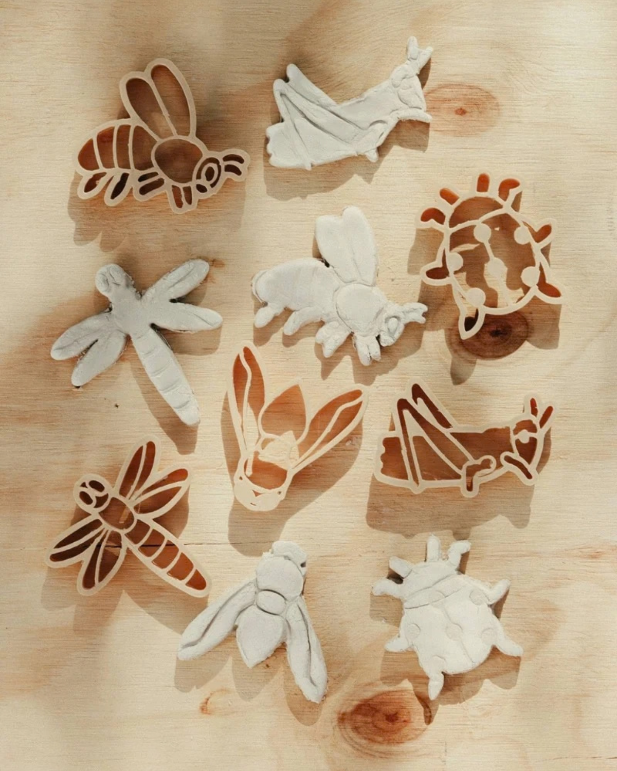 Insect Cutter Set - Eco Playdough Tool