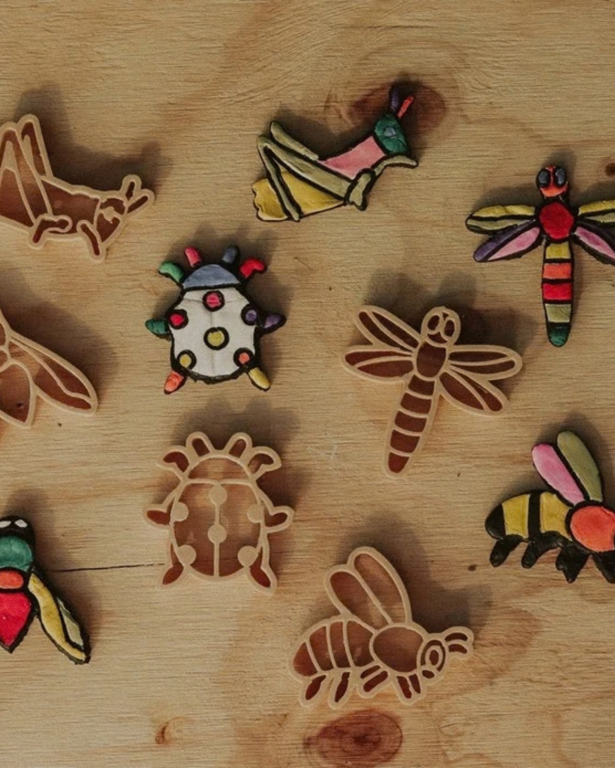 Insect Cutter Set - Eco Playdough Tool