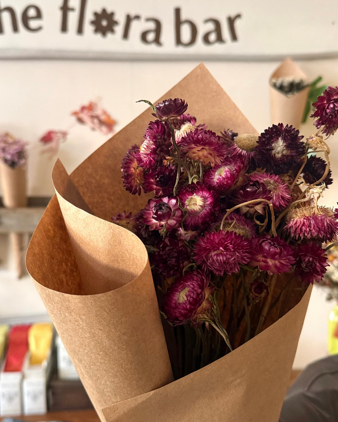 Dried Everlasting Paper Daisy Bunch