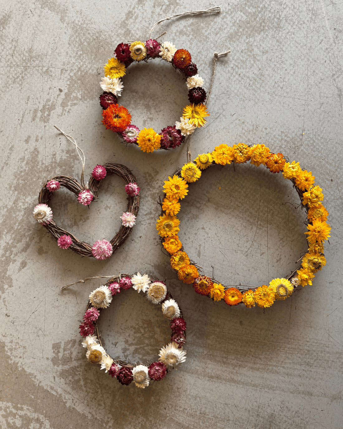 Everlasting Paper Daisy Wreath - Large