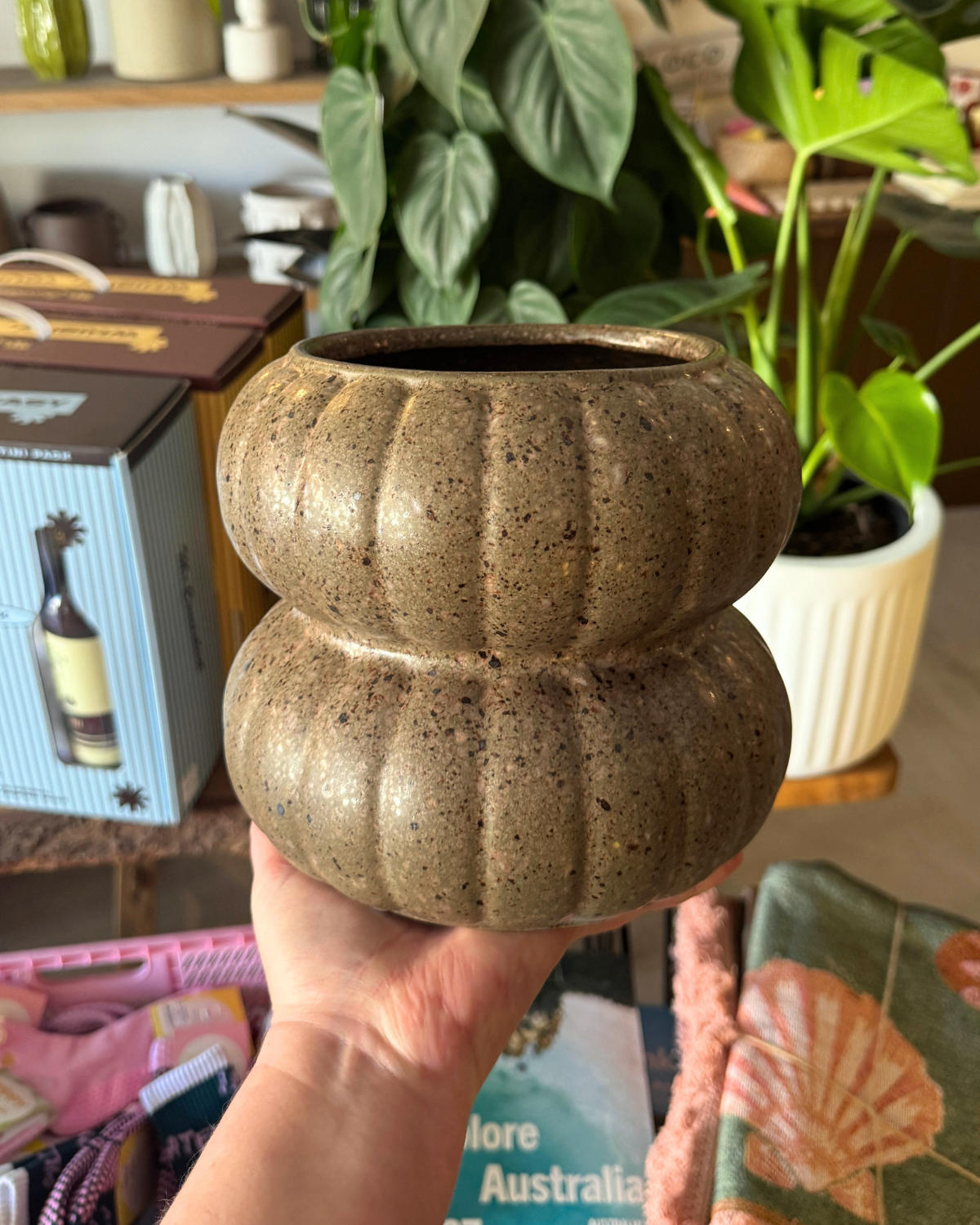 Cove Pot - Fossil