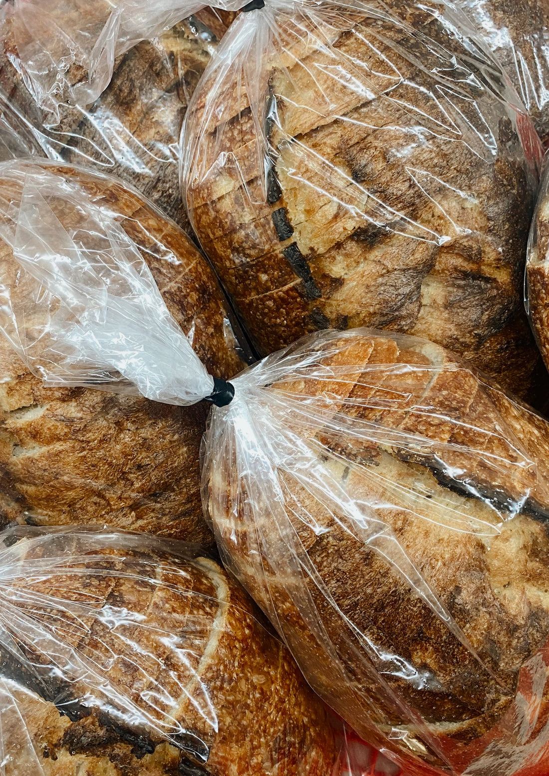 *PRE-ORDER* Sourdough