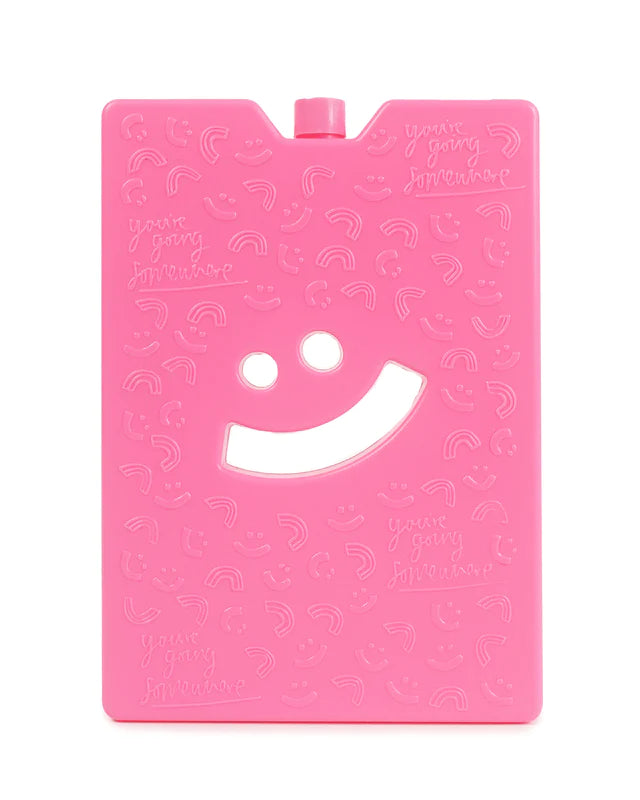 lunch box ice brick for kids pink