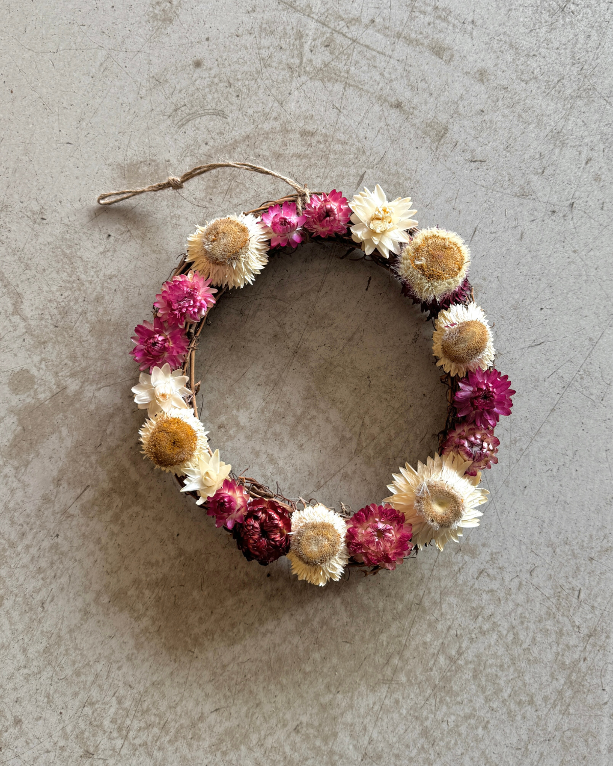 Everlasting Paper Daisy Wreath - Posy Pink (Small)