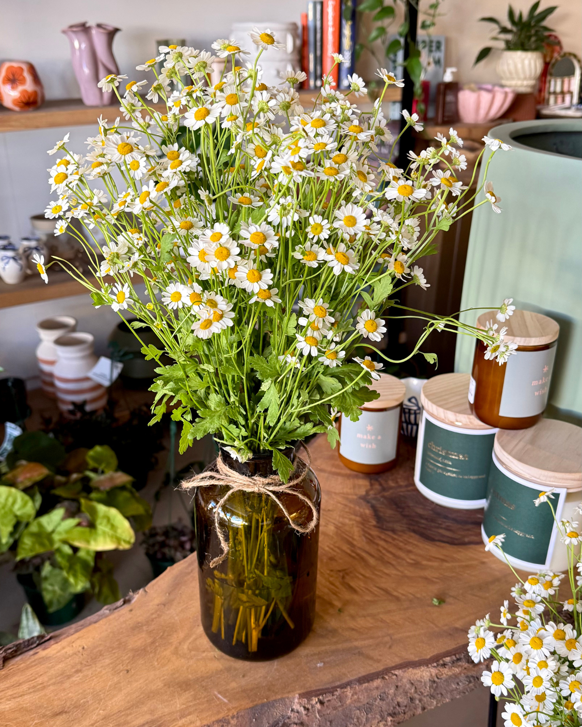 The Flora Bar Jars / Camomile Daisy