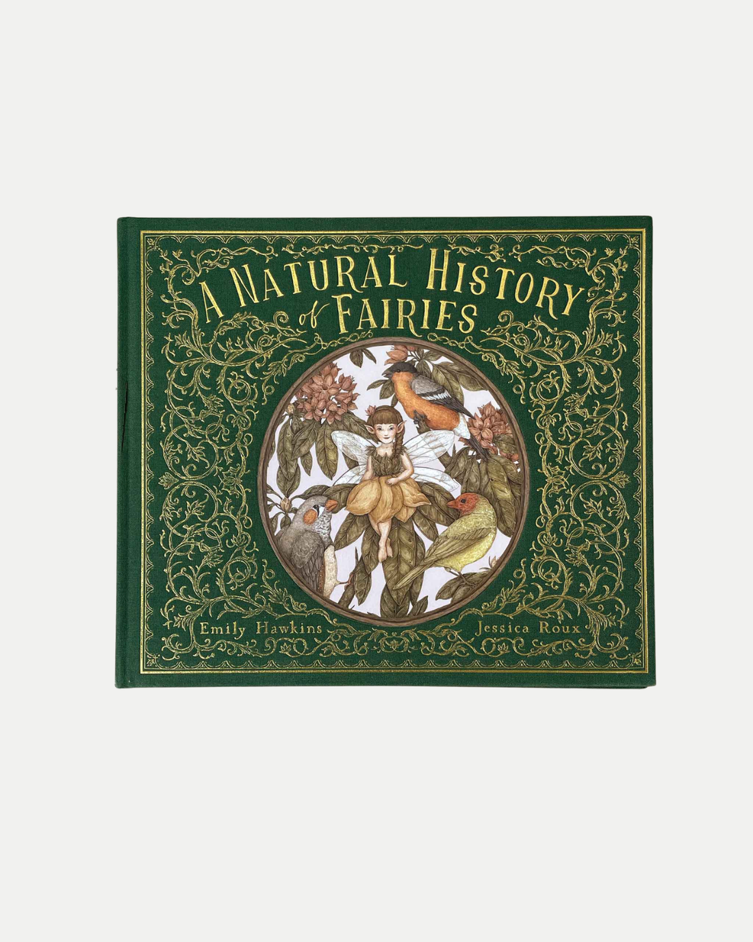 A Natural History of Fairies ❘ Book by Emily Hawkins