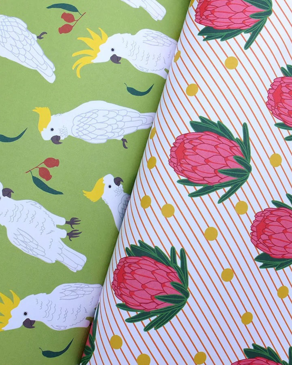 Wrapping Paper - All Wrapped Up: Australia by Alice Oeher
