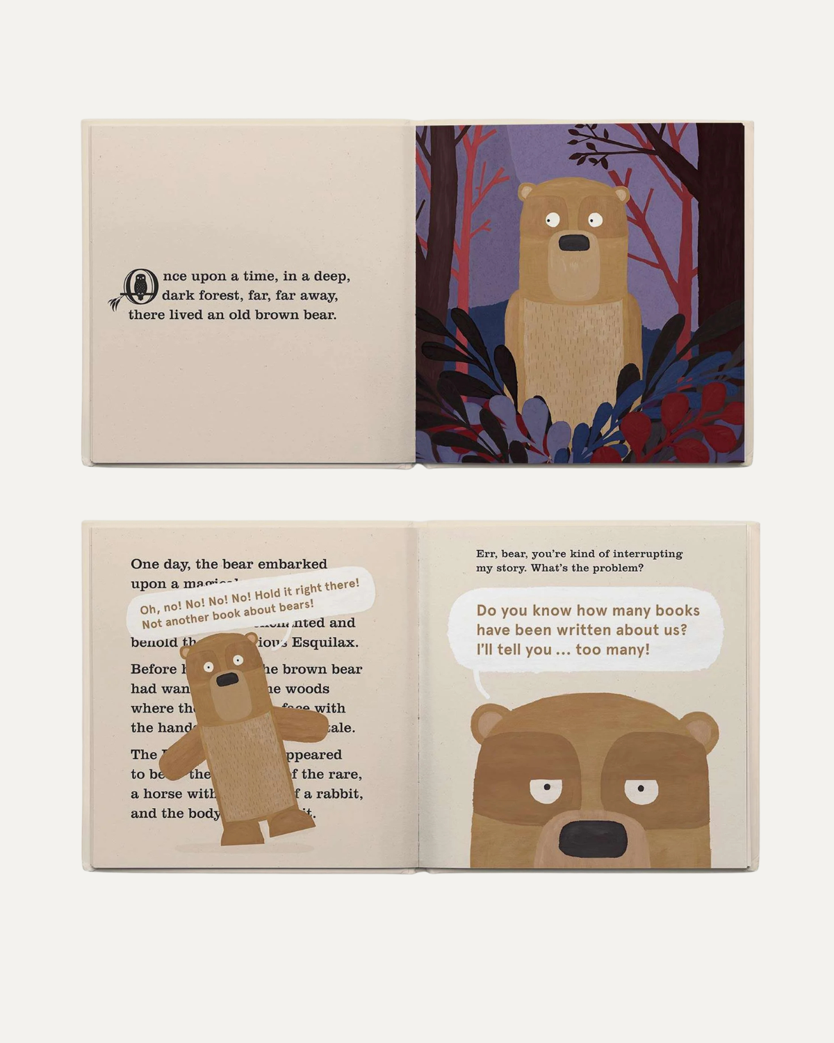 Another Book About Bears