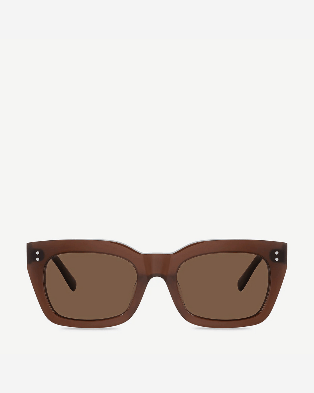 Status Anxiety Antagonist Sunglasses in Brown 