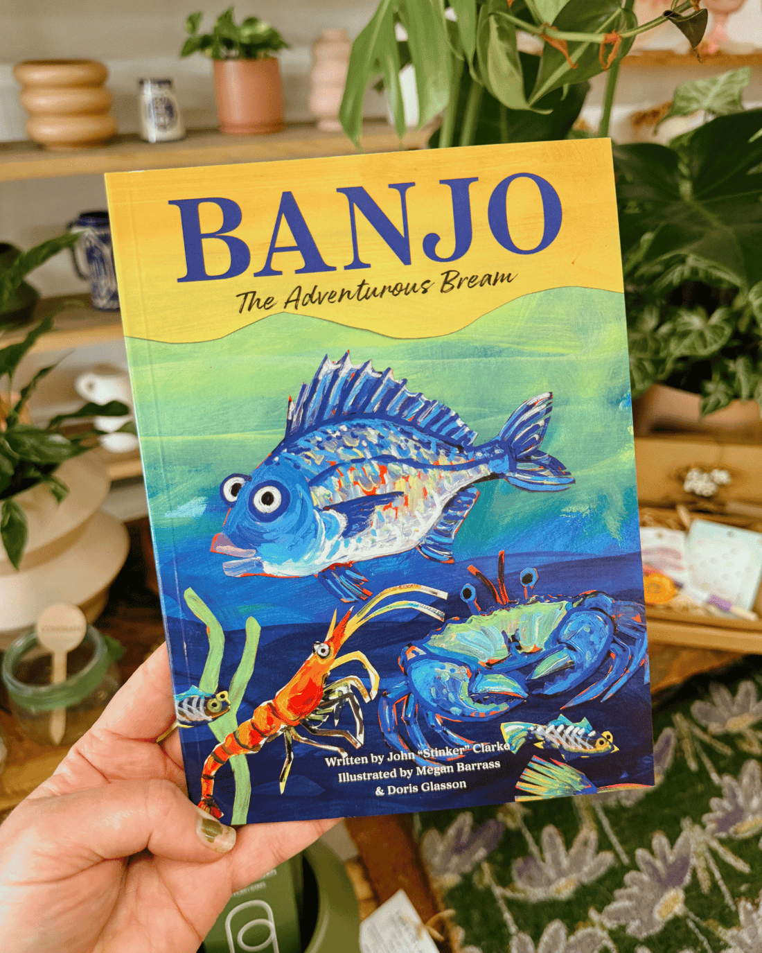 Banjo - The Adventurous Bream Book