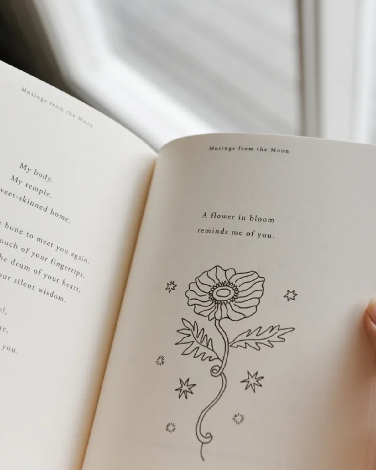 Book of Prose &