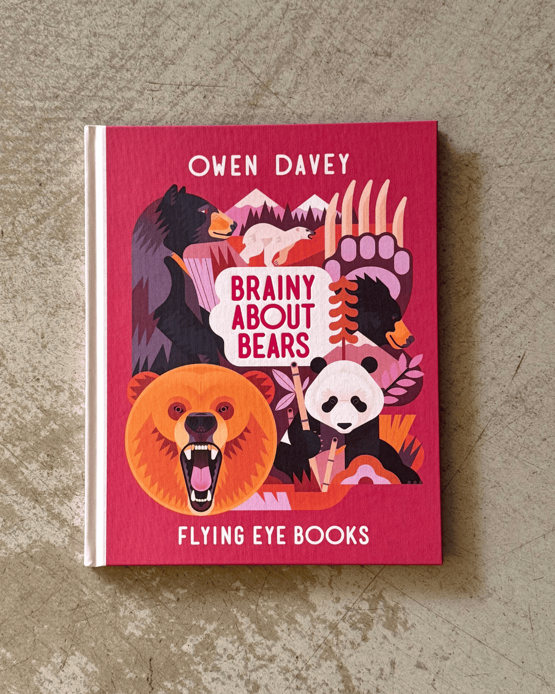 Brainy About Bears Book by Owen Davey