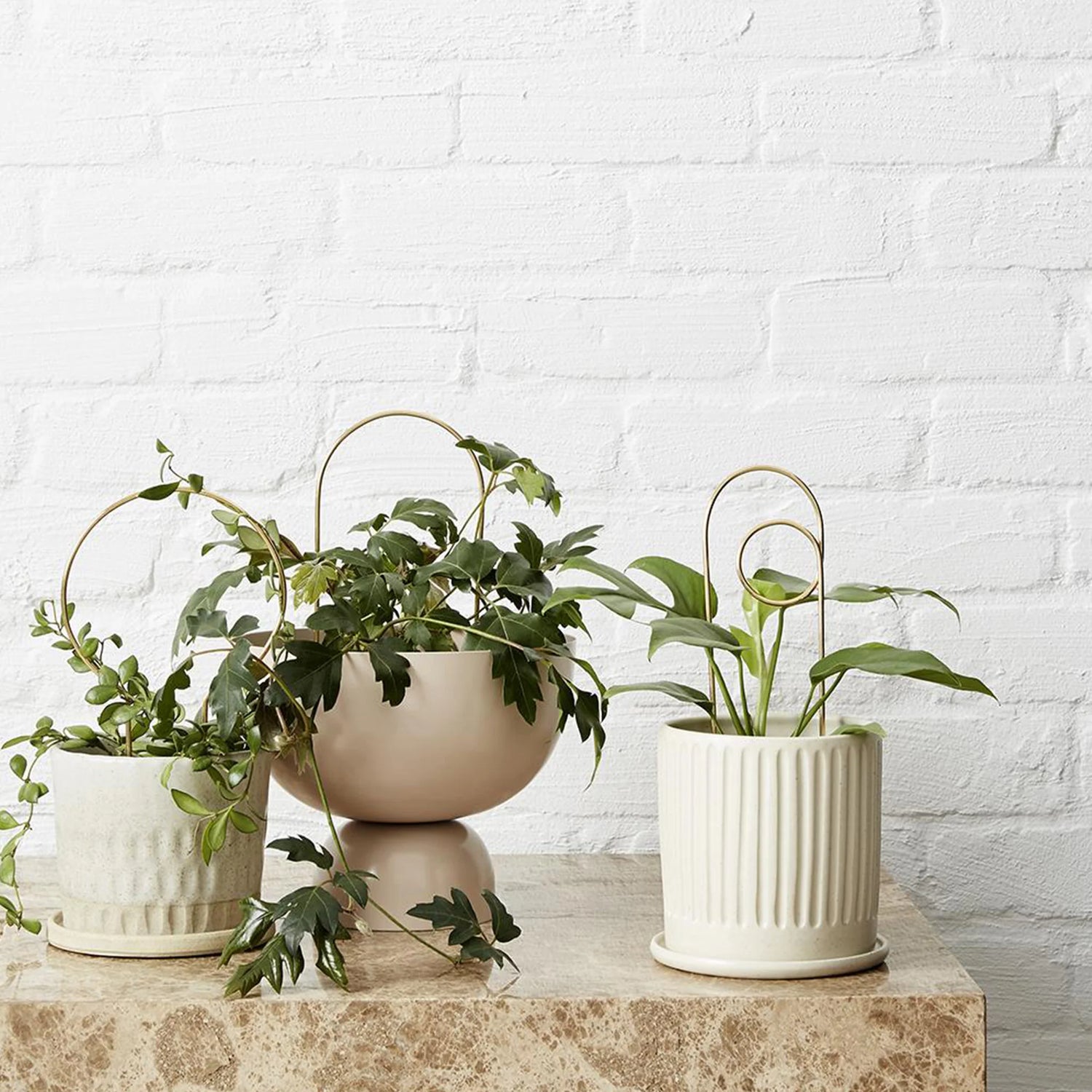 Ivy Muse Brass Plant Stake - Loop