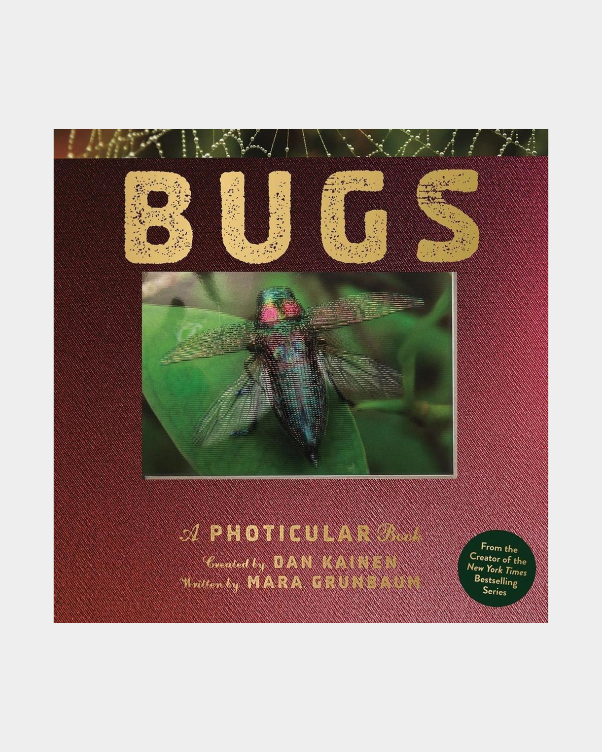 Bugs: A Photicular Book by Dan Kainen 