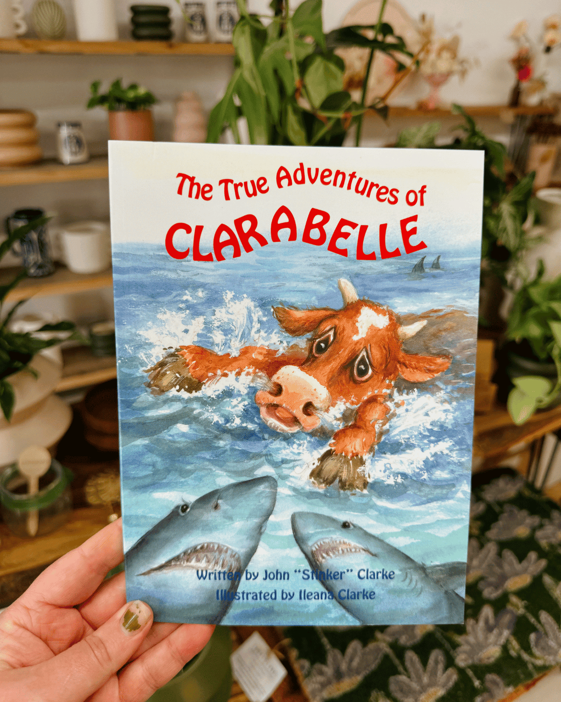 The True Adventures of Clarabelle