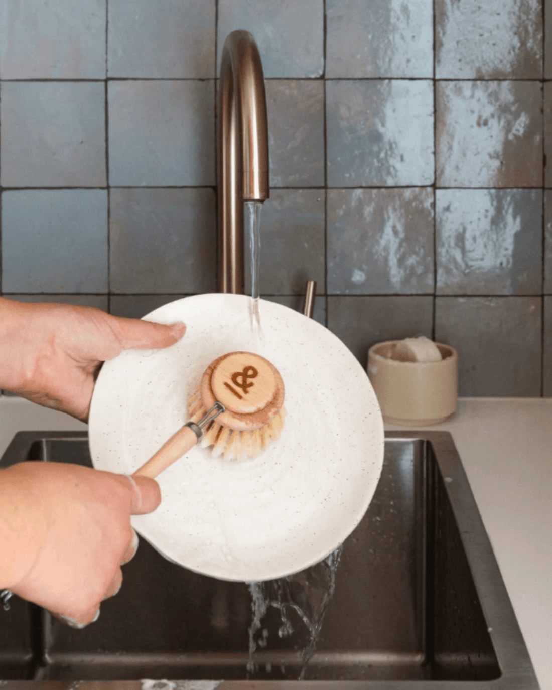 Seed & Sprout Dish Brush Set Eco Cleaning