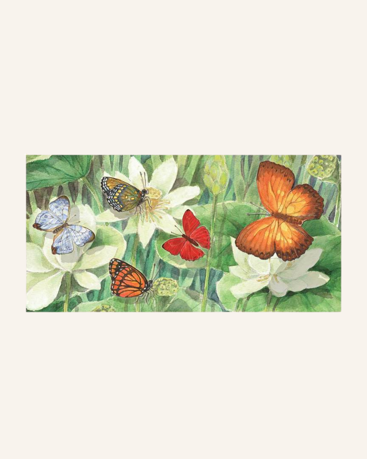 Music Box - Butterfly