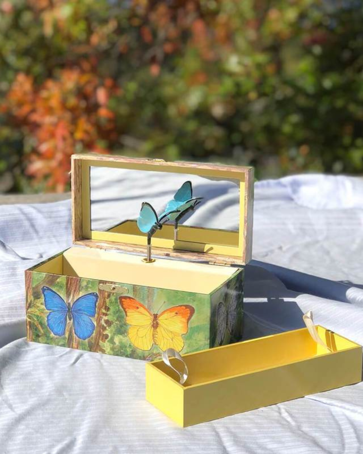 Music Box - Butterfly