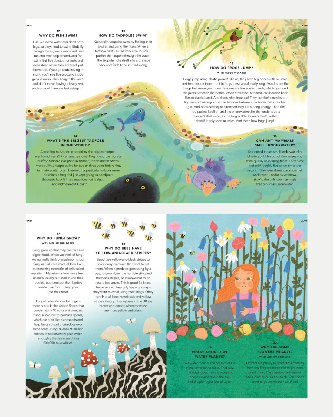 Everything Under the Sun - Children&