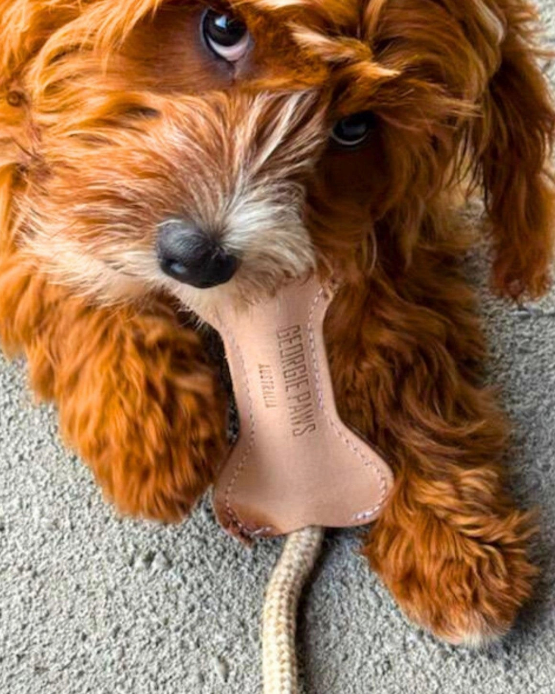 Flora Bone Toy - Natural by Georgie Paws 