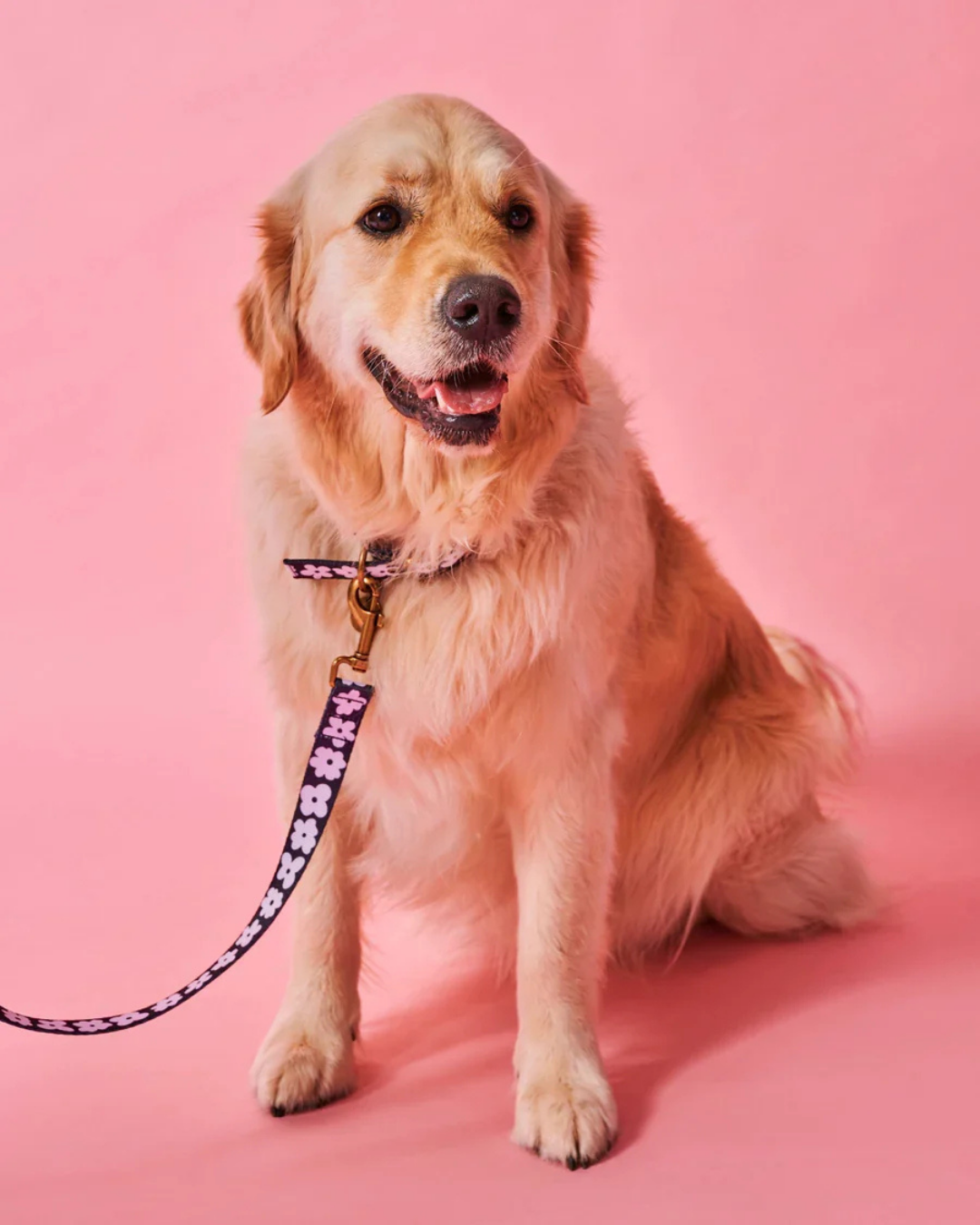 Flower Face Dog Lead by Kip &amp; Co