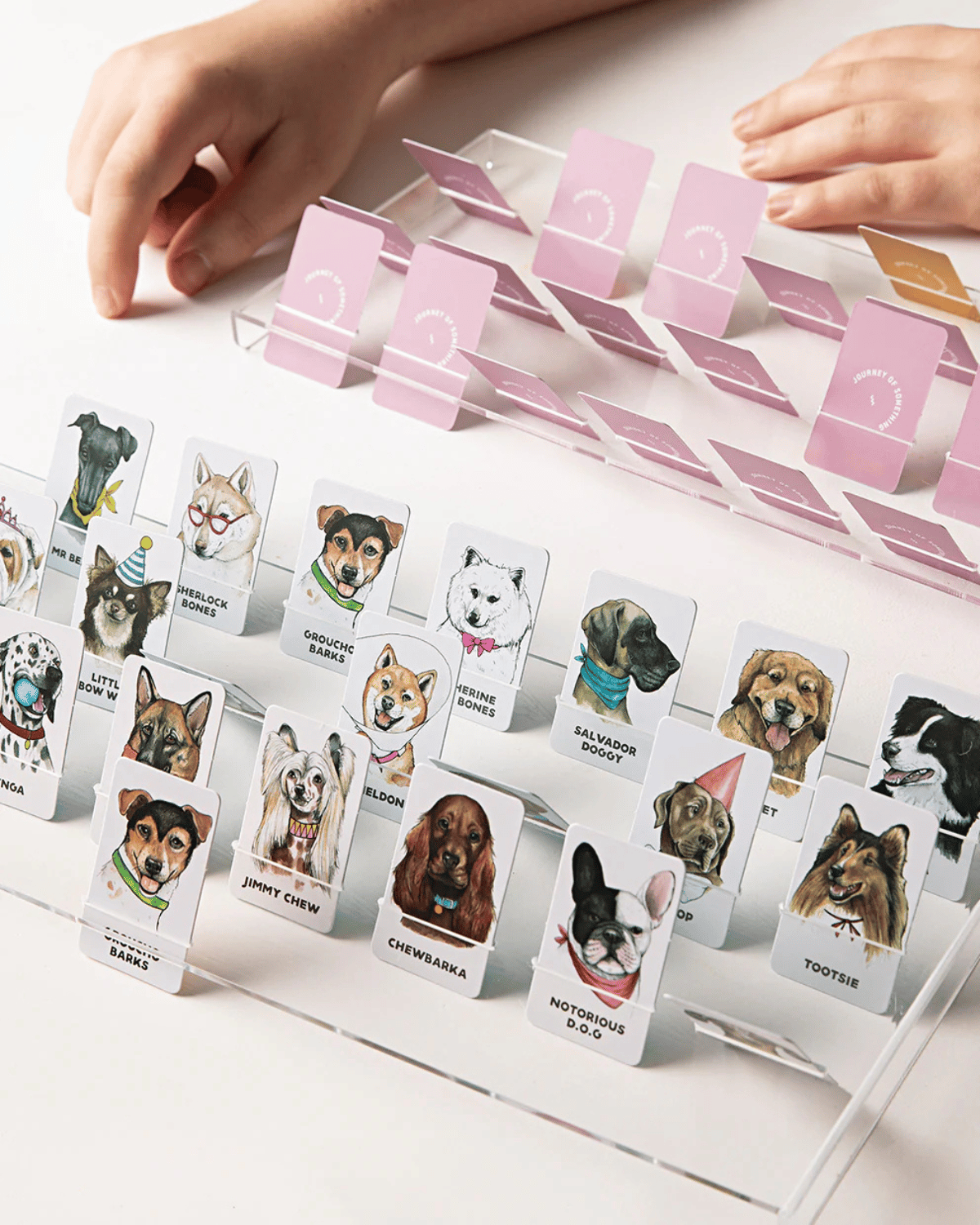 Guess the Doggy Board Game by Journey of Something 