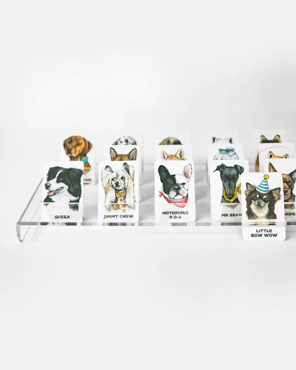 Guess the Doggy Board Game by Journey of Something 